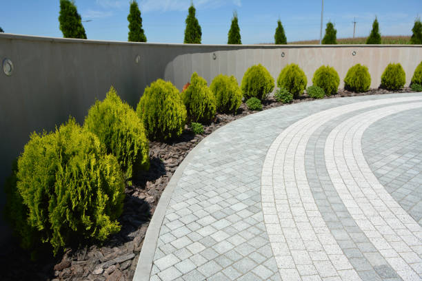 Professional Driveway Pavers in Carolina Beach, NC